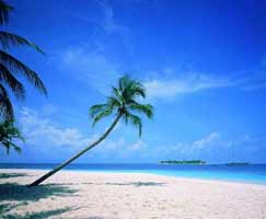 Lakshadweep Package Tour