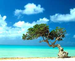 Lakshadweep Honeymoon Trip