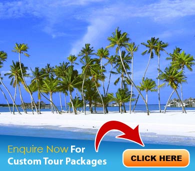 Lakshadweep Tour Packages