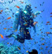 Lakshadweep Tour Packages